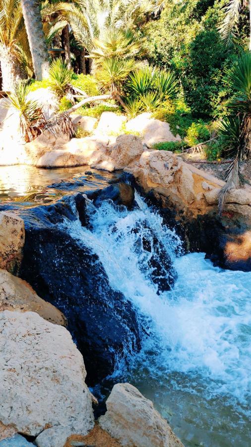 Charming Apartment In Alicante Near The Sea & City Center エクステリア 写真