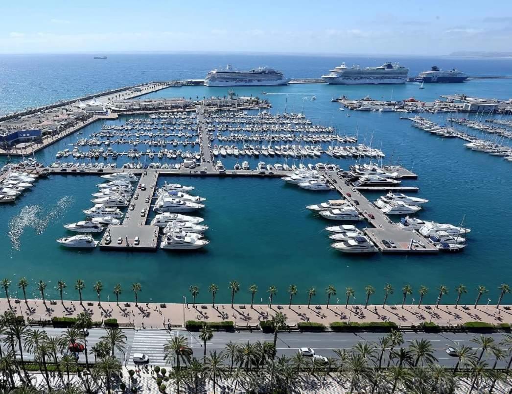 Charming Apartment In Alicante Near The Sea & City Center エクステリア 写真