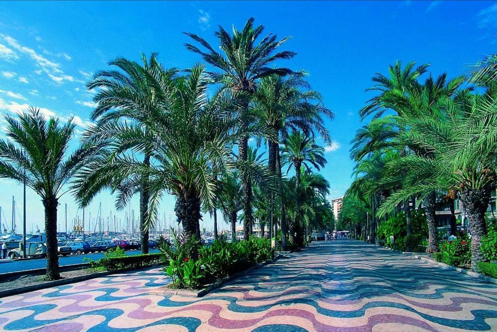 Charming Apartment In Alicante Near The Sea & City Center エクステリア 写真