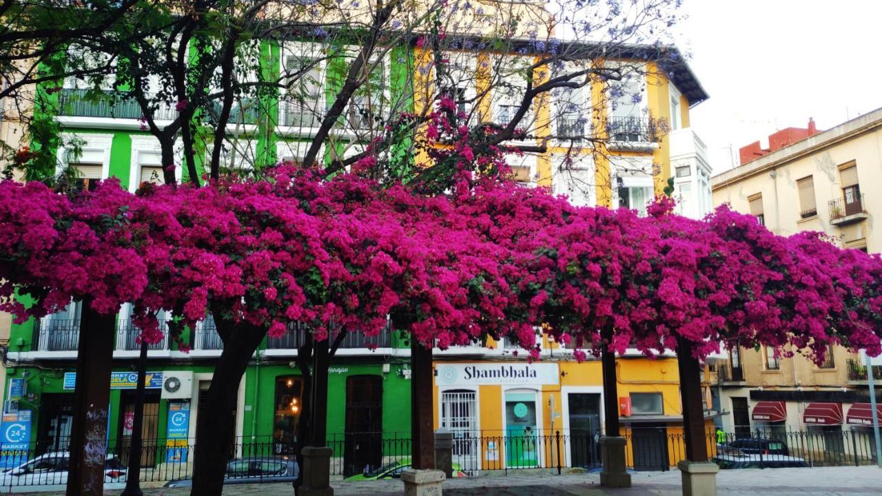 Charming Apartment In Alicante Near The Sea & City Center エクステリア 写真