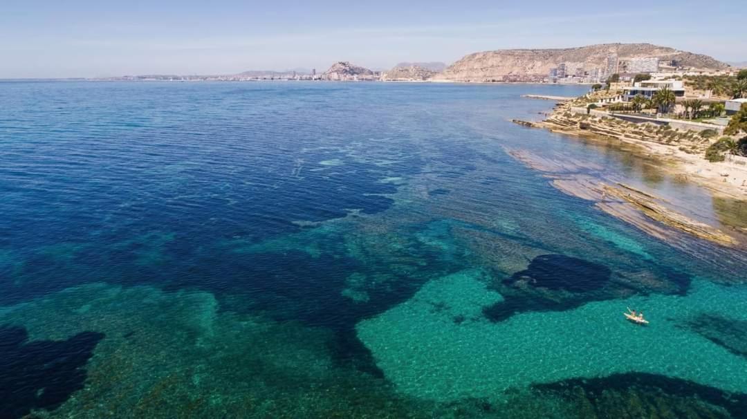 Charming Apartment In Alicante Near The Sea & City Center エクステリア 写真
